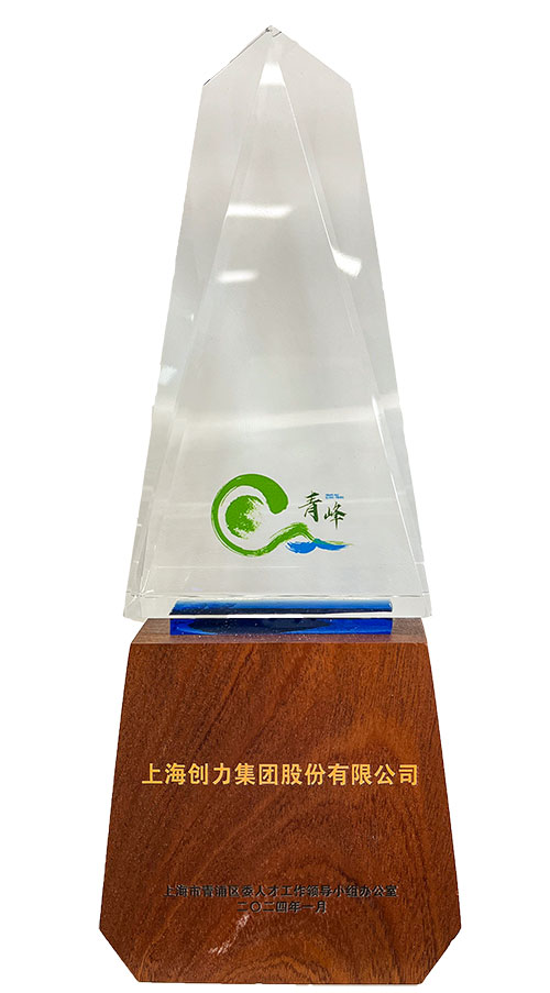 喜報！上海創(chuàng)力集團榮獲2023年度青浦區(qū)百強優(yōu)秀企業(yè)等三項大獎(圖3)