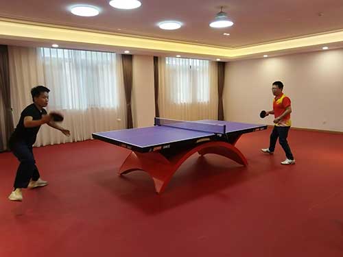 乒乓球.jpg 秋韻飛揚 活力綻放 | 上海創(chuàng)力集團秋季運動會取得圓滿成功(圖4)